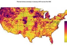 Research: Thermal stress measurements sound the alarm about drought conditions sooner —