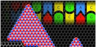 Tech: Theory shows how monocrystals of hexagonal boron nitride come together — (Report)