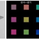 Study: A new technology developed to detect and analyze colorless and transparent biomaterials — (Details)