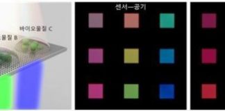 Study: A new technology developed to detect and analyze colorless and transparent biomaterials — (Details)