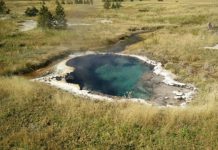 Research: Capturing bacteria that eat and breathe electricity —