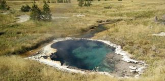 Research: Capturing bacteria that eat and breathe electricity —