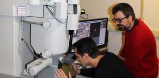 Tech: Tungsten blend resists fractures, could be valuable for magnetic fusion facilities — (Report)