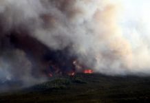 Research: Alaska forest fires over past 450 years —