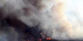 Research: Alaska forest fires over past 450 years —