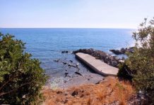 Research: Vast record of past climate fluctuations now available thanks to laser imaging of shells —