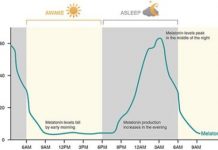 Offbeat: Blue-enriched white light to wake you up in the morning —