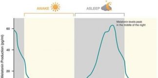 Offbeat: Blue-enriched white light to wake you up in the morning —