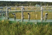 Research: Rain is important for how carbon dioxide affects grasslands —