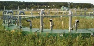 Research: Rain is important for how carbon dioxide affects grasslands —