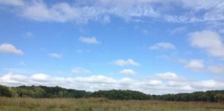 Research: As sea level rises, wetlands crank up their carbon storage —