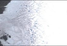 Research: Migrating snowline plays outsized role in setting pace of Greenland ice melt —