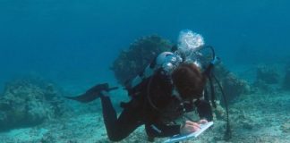 Offbeat: When coral reefs change, researchers and local communities may not see eye to eye —