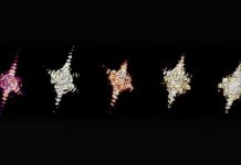 Tech: Geochemists answer fundamental question of mineral reactions — (Report)