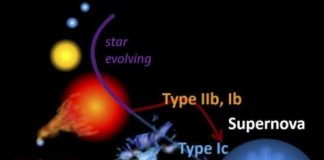 Research: Stars exploding as supernovae lose their mass to companion stars during their lives —