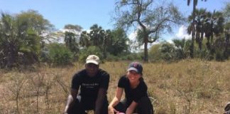 Research: Documenting a trophic cascade with leopards, antelopes, and plants —