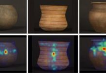 Research: A study analyses the selective attention processes that determine how we explore and interact with our environment —