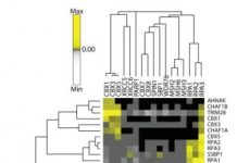 Research: New method of scoring protein interactions mines large data sets from a fresh angle —