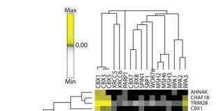 Research: New method of scoring protein interactions mines large data sets from a fresh angle —
