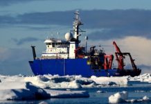 Research: New nitrogen source in Arctic —