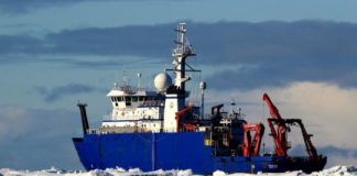 Research: New nitrogen source in Arctic —