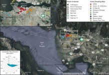 Research: Honey bees can help monitor pollution in cities —