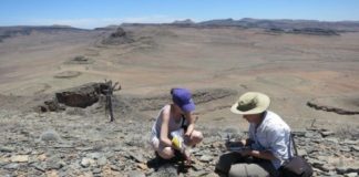 Research: Ancient records prompt rethink of animal evolution timeline —