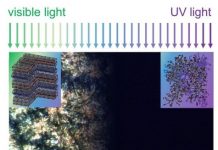 Tech: Controlling thermal conductivity of polymers with light — (Report)