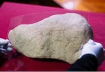 Research: An exceptional milestone in European Palaeolithic rock art —