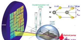 Tech: Scientists pioneer new technique for two-dimensional material analysis — (Report)