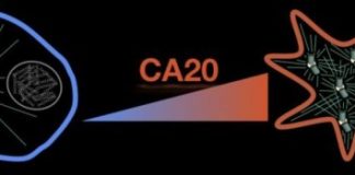 Study: When a cell’s ‘fingerprint’ can be a weapon against cancer — (Details)