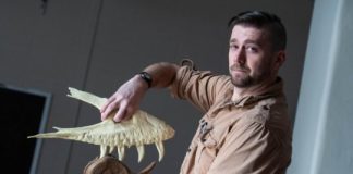 Research: Teenage T. rex was already chomping on prey —