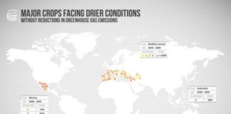 Research: Dramtic rainfall changes for key crops predicted even with reduced greenhouse gas emissions —