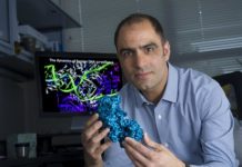 Research: New understanding of sophistication of microbial warfare —