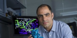 Research: New understanding of sophistication of microbial warfare —