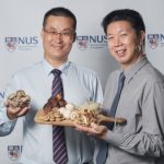 Study: Eating mushrooms may reduce the risk of cognitive decline — (Details)