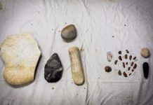 Research: The technology of miniaturization set hominins apart from other primates —