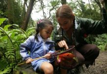 Research: Critical review finds cause-and-effect relationship —