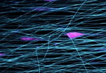 Research: Speedy ‘slingshot’ cell movement observed for the first time —