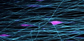 Research: Speedy ‘slingshot’ cell movement observed for the first time —