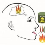 Study: Neuroscientists find brain pathway supporting an intersection of taste and pain — (Details)