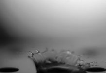 Tech: Virtual time-lapse photos can capture ultrafast phenomena — (Report)