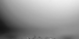 Tech: Virtual time-lapse photos can capture ultrafast phenomena — (Report)