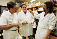 Research: Avocado seed extract shows promise as anti-inflammatory compound —