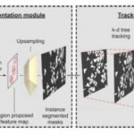 Study: Machine learning tracks moving cells — (Details)