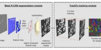 Study: Machine learning tracks moving cells — (Details)