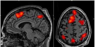 Study: Short-term memory focuses on things we label as ‘ours,’ no matter how random they are — (Details)