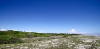 Research: A recent study demonstrates the widespread environmental consequences of large dam reservoirs in Mexico —