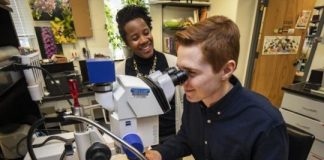 Research: Study explores little-understood effects of soil exposure on subterranean colonies —
