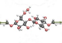 Research: Nanoscientists discover new mechanism to cleave cellulose effectively and in an environmentally friendly way —